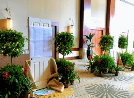 Sustainability and Corporate Events: A Focus on Plant Rentals