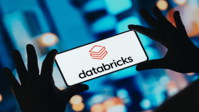 Sources Databricks 380M Januaryweinberg