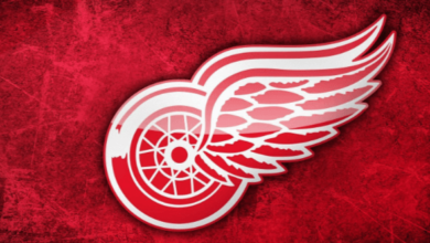 Logo:5niveajyhiy= Detroit Red Wings