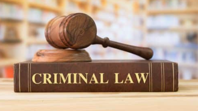 Criminal Defense Lawyer