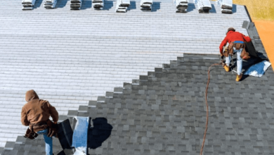 Asphalt Shingle Roof