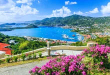 Your Gateway to Paradise: Achieving Our Dreams In Real Time