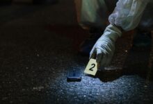 toll free number investigation
