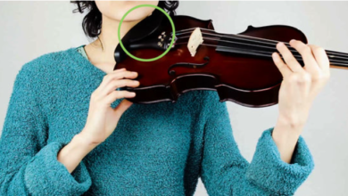 The 7 Simple Steps to Create Violin Solos with AI
