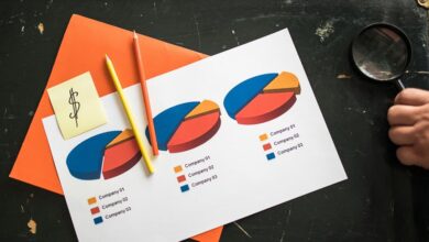 essential stocks for investors
