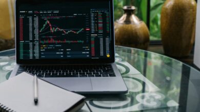 investing basics for beginners