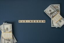 steady income investment options