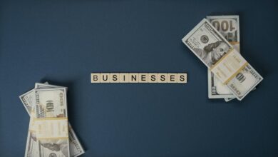 steady income investment options