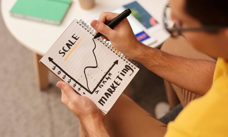 business development projections summary