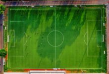 coral conservation and activity