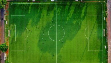 coral conservation and activity