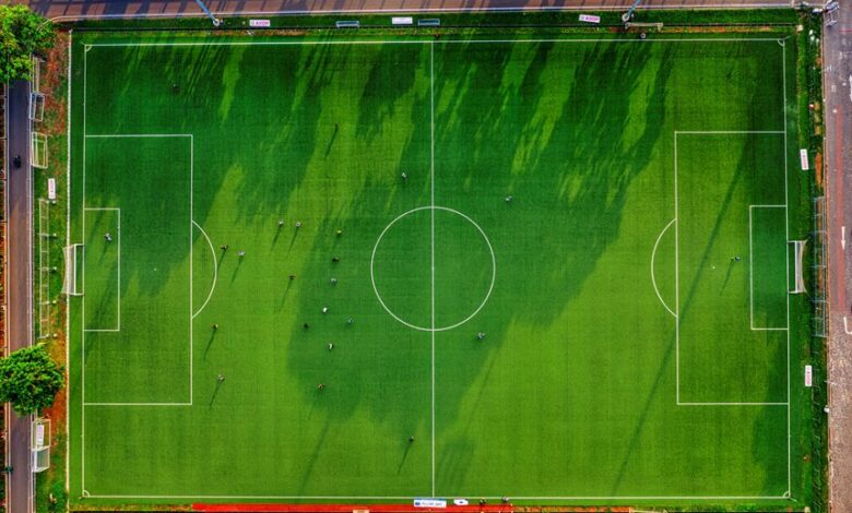 coral conservation and activity