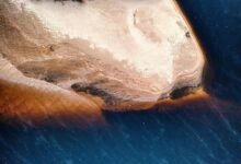 harmonicode website features overview