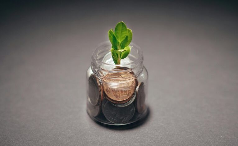 investment potential assessment needed