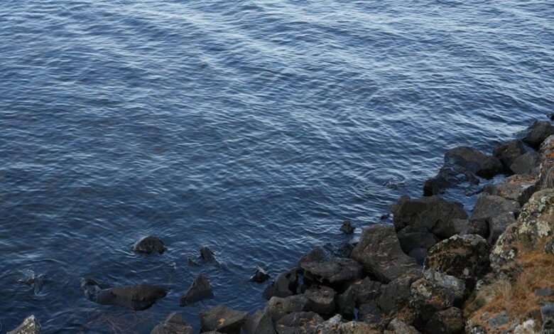 kierzugicoz2005 overview explained