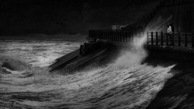 operational risk contact numbers