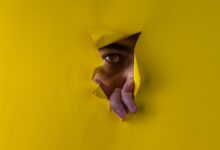 username analysis reveals insights