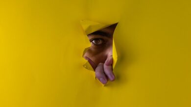 username analysis reveals insights