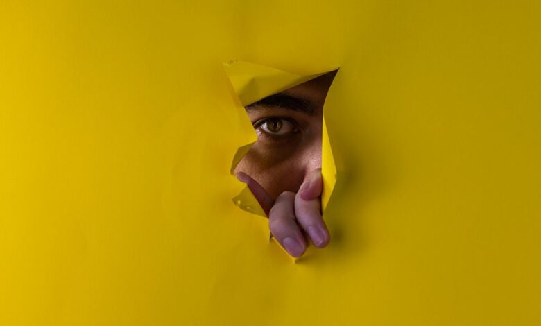 username analysis reveals insights