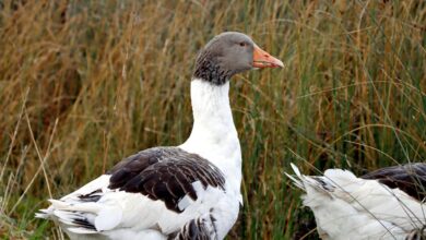 vittenthill49 profile updates