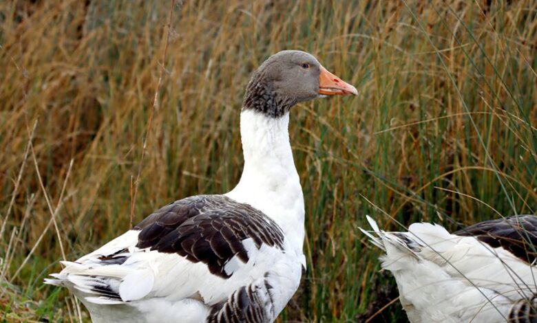 vittenthill49 profile updates