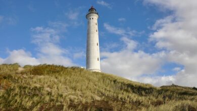 zealpozold usage and safety