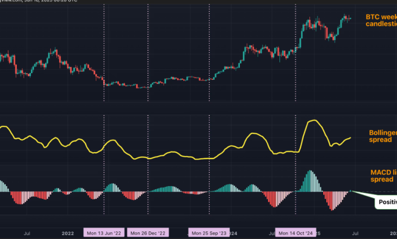BTC Live Price and Market Volatility: What Traders Should Watch Closely