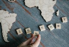 cross dataset analysis summary report