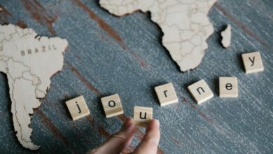 cross dataset analysis summary report