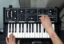 identifier performance analysis report