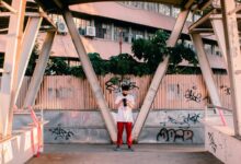 ijglbp profile summary overview