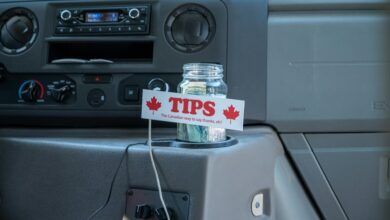 peli plus streaming tips