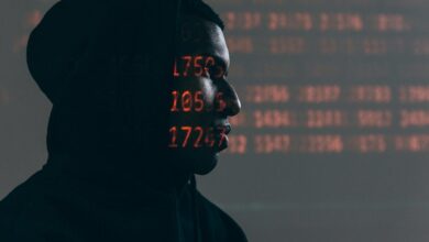 phone numbers data profile