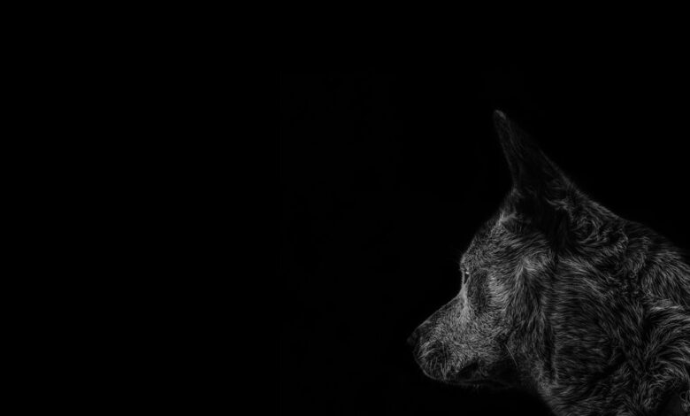 profile check details provided