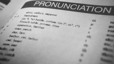 cirafqarov model overview guide