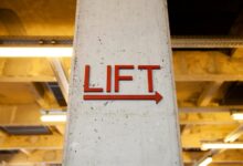 guide to zihollkoc details