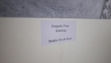 hidghanem palidahattiaz details