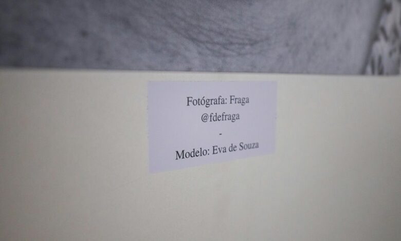 hidghanem palidahattiaz details