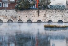 krylovalster s unique characteristics outlined