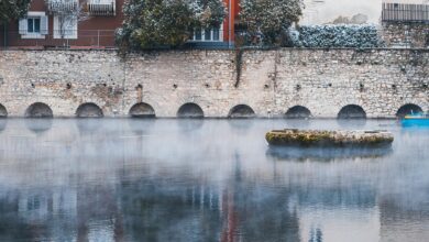 putakocura s distinctive characteristics highlighted