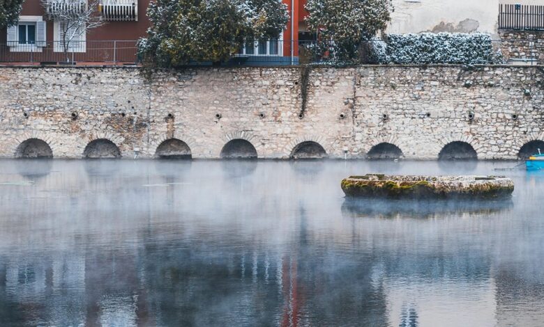 putakocura s distinctive characteristics highlighted