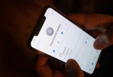 verify fraud alert calls