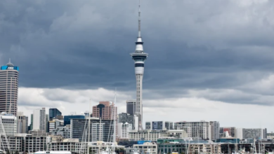 Top Reasons to Book Your Europe Trip with Flamingo Travels – Trusted Indian Tour Operator