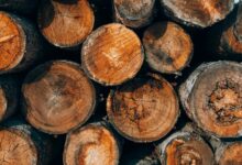 authenticate call logs accuracy details numeric ids