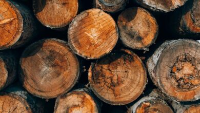 authenticate call logs accuracy details numeric ids