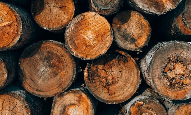 authenticate call logs accuracy details numeric ids