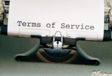 search terms and mixed data analysis