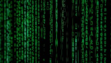 validation of various system identifiers and formats