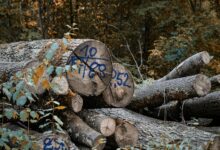 audit accuracy of call logs