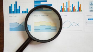 behavioral pattern recognition report